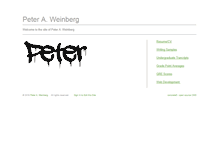 Tablet Screenshot of peter-weinberg.com